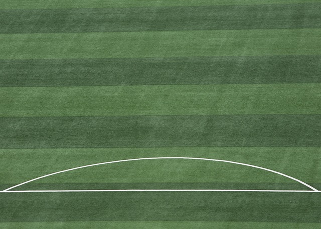 员进行表演 员进行表演