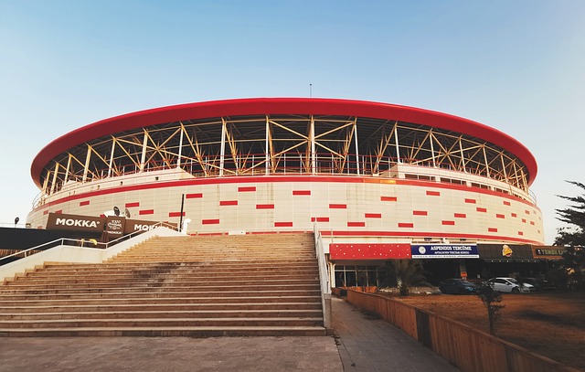 指导意义 指导意义