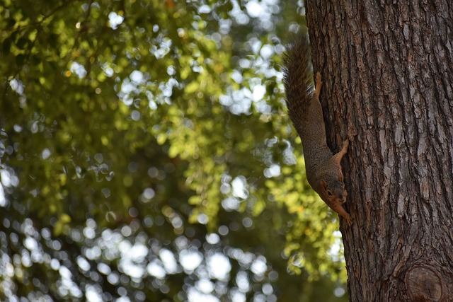 即便是在比 即便是在比